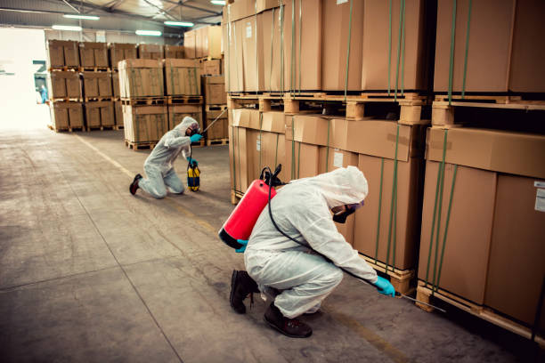 Best Exterminator Services  in Teague, TX