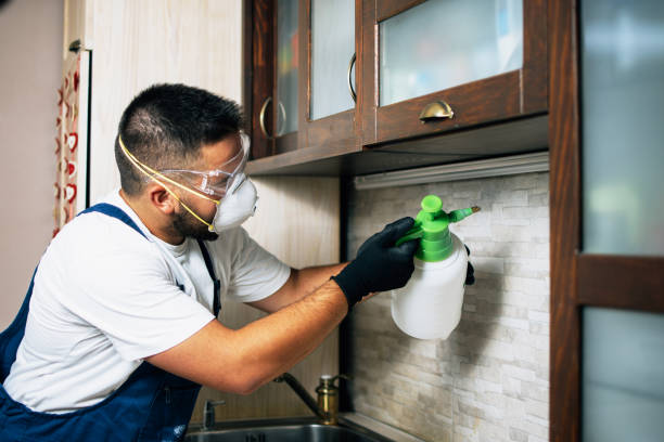 Best Commercial Pest Control Services  in Teague, TX