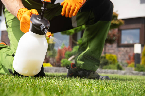 Best Rodent Control Near Me  in Teague, TX