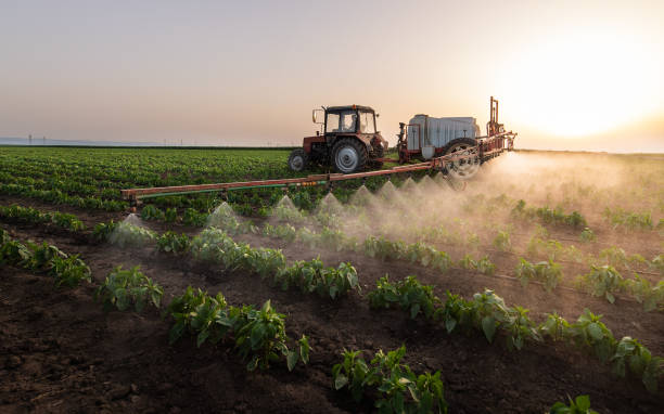 Best Pest Control for Businesses  in Teague, TX