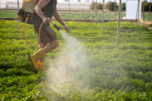 Best Pest Control for Restaurants  in Teague, TX