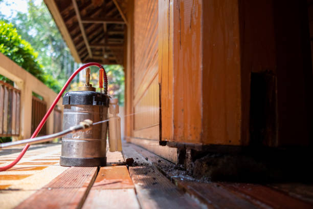Best Pest Removal Services  in Teague, TX