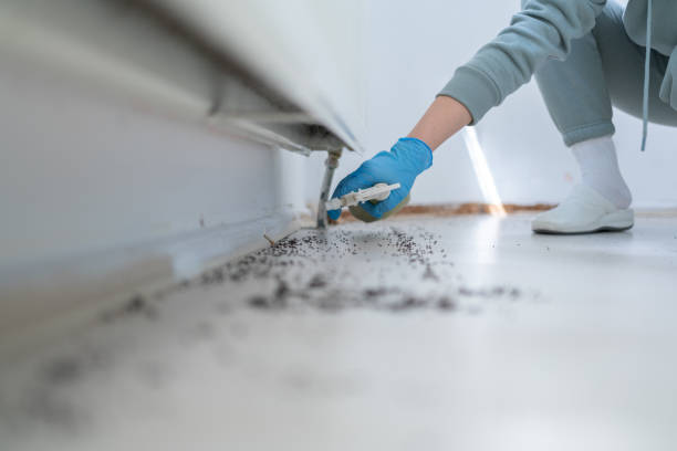 Best Bed Bug Extermination  in Teague, TX
